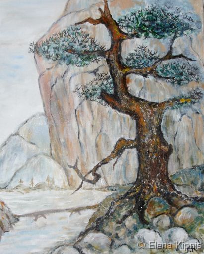 31 - Die Kraft des Ueberlebens Acryl/&Ouml;l, 40 x 50 cm